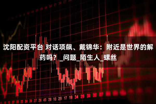 沈阳配资平台 对话项飙、戴锦华：附近是世界的解药吗？_问题_陌生人_螺丝